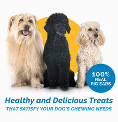123 Treats orejas de cerdo para perros, textura natural para mordiscos prolongados