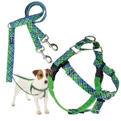 Arnés Freedom de 2 Hounds Design en verde y azul para paseos sin tirones.