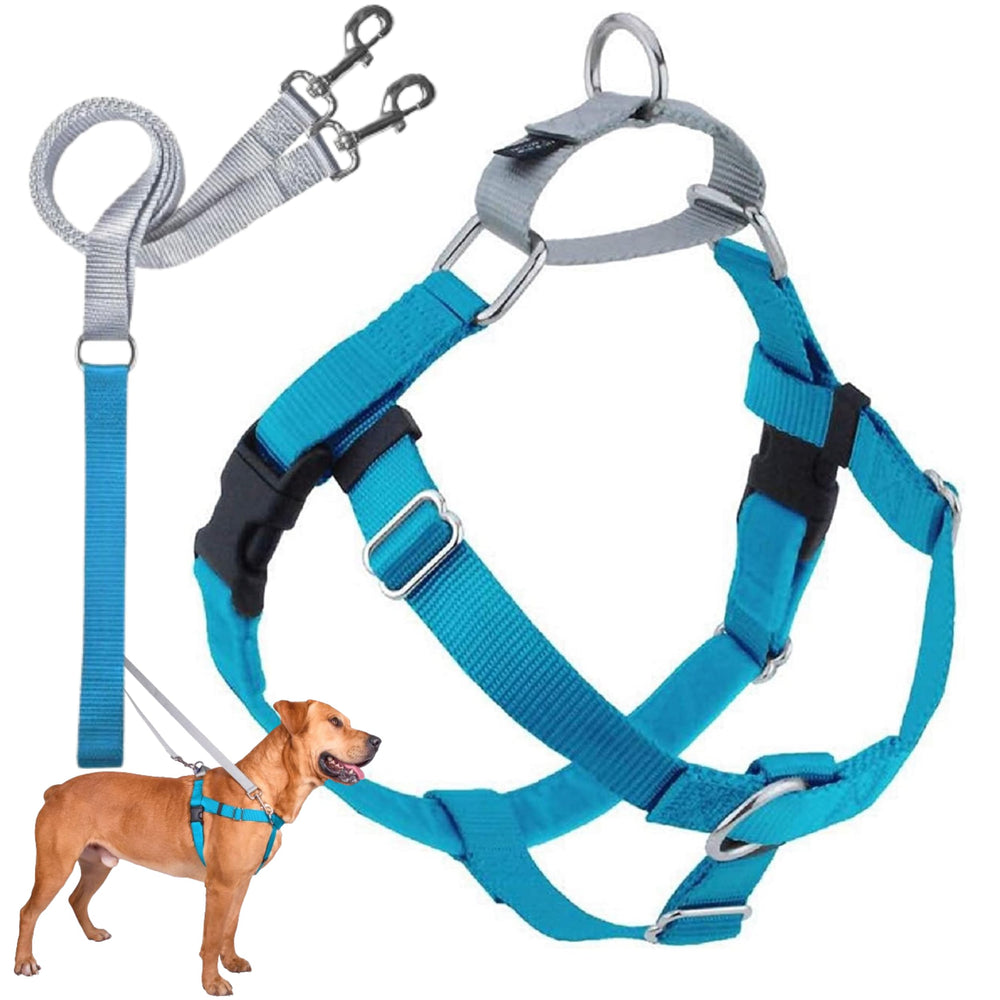 Arnés Freedom de 2 Hounds Design, vista frontal, control cómodo para paseos sin tirones.