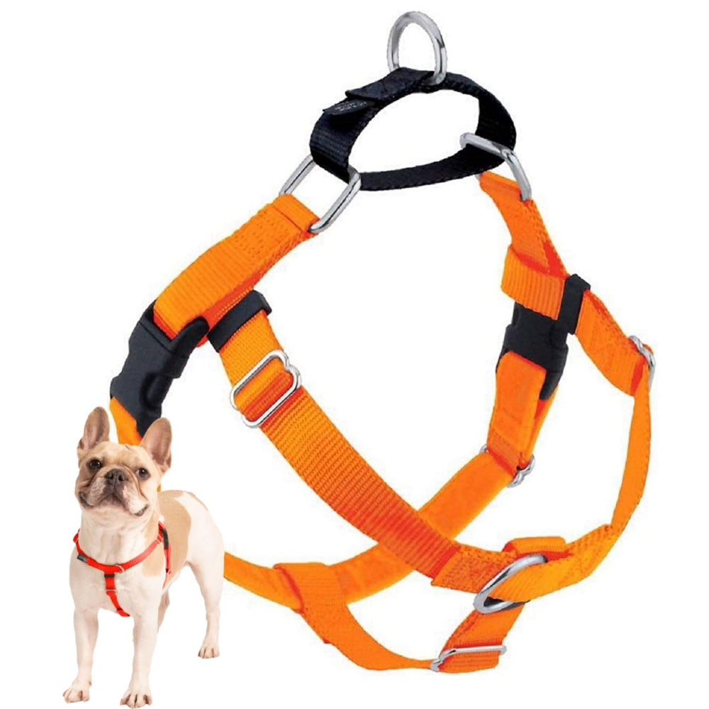 Arnés sin tirones de 2 Hounds Design con forro de terciopelo para comodidad en paseos.