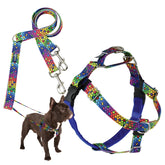 Arnés Freedom No-Pull de 2 Hounds Design en azul para paseos sin tirar