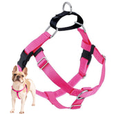 Arnés Freedom No Pull de 2 Hounds Design, vista frontal para paseos suaves