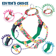 2 Hounds Design Freedom No-Pull: nylon duradero y hardware de acero inoxidable.