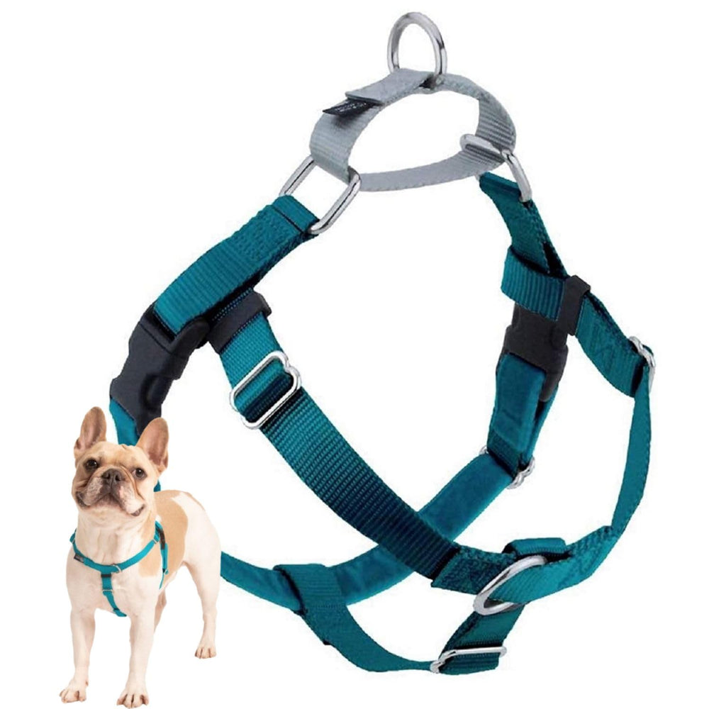 Arnés Freedom de 2 Hounds Design Teal XXL cómodo y sin tirones.