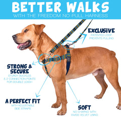 2 Hounds Design Freedom arnés sin tirones, vista trasera mostrando correas y ajustes.