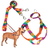 2 Hounds Design arnés frente: control suave sin tirones