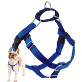 2 Hounds Design Freedom arnés sin tirones para paseos más tranquilos en azul royal.