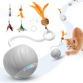 AAA AMUSANG bola interactiva para gatos con dos velocidades para juego activo