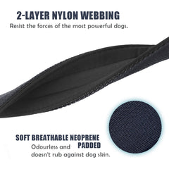 Anilla en D y herrajes de metal durables de Aaufilux collar táctico