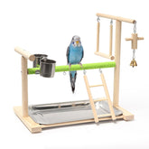 Acsist aves parque de juego percha natural para trepar y descansar
