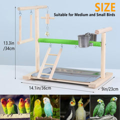 Acsist aves parque de juego tazas acero inoxidable para agua y comida