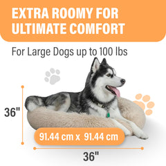 Active Pets funda removible lavable para limpieza fácil