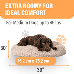 Active Pets cama portátil para perros ligera para viajar