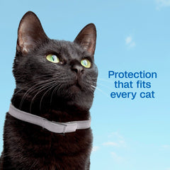 ADAMS Plus collar resistente al agua para uso diario.