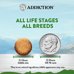 Addiction Zen Vegetarian: textura croqueta de calidad para paladares sensibles.