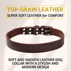 Adityna collar de cuero, primer plano, resistente a tirones para perros grandes.