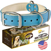 Collar ADITYNA de cuero premium con doble hebilla, ideal para paseos.