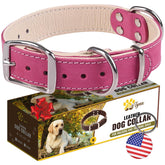 ADITYNA collar de piel rosa para perro mediano, frente elegante y cómodo para paseos.