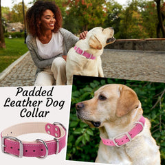 ADITYNA collar rosa de piel, interior acolchado cuida la piel sensible.
