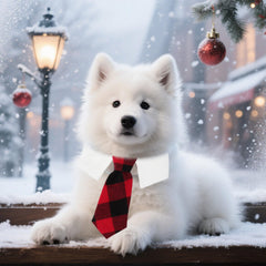 Atuendo formal ADOGGYGO para perro mediano en Navidad.