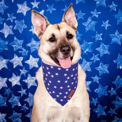 Bandana ADOGGYGO con ajuste ajustable para perros.