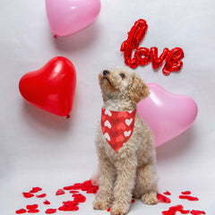 Bandana ADOGGYGO tamaño pequeño, ajuste-cuello 12-18, cómodo para mascotas