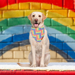 Bandana ADOGGYGO doble capa, mayor durabilidad para perros
