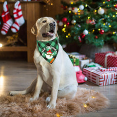 Bandana ADOGGYGO con muñeco de nieve, perfecta para sesiones de fotos navideñas.