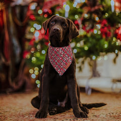 ADOGGYGO Bandana navidad perro cuadro nieve verde realza su apariencia festiva.