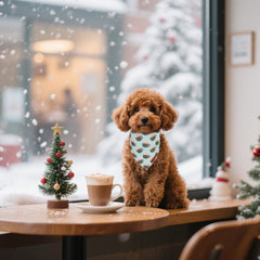 ADOGGYGO bandana verde para perro pequeño con renos festivos