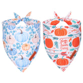 Bandana ADOGGYGO con calabazas y hojas para paseos otoñales
