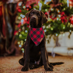 ADOGGYGO bandana navideña para perro grande, vista trasera