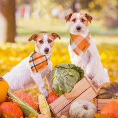 ADOGGYGO bandana de otoño en cuadros naranjas para tamaño mediano.