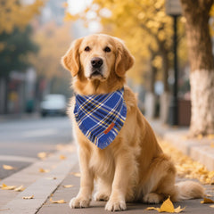 Bandana ADOGGYGO de algodón suave, tacto cómodo en caminatas.