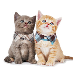 ADOGGYGO collar-cuello-removible, look tipo camisa para gatos elegantes.