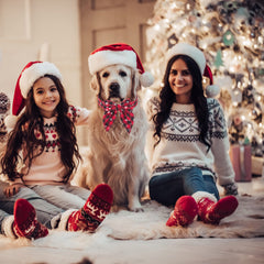 ADOGGYGO collar navidad anilla para correa, uso sencillo.