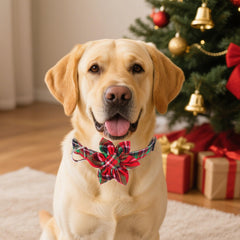 ADOGGYGO collar perro plaid rojo verde, perfecto para paseos festivos
