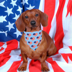 Pañuelo ADOGGYGO con estrellas USA para desfiles caninos