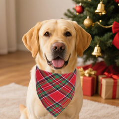 Pañuelo ADOGGYGO para perro, diseño a cuadros rojo-verde para celebraciones