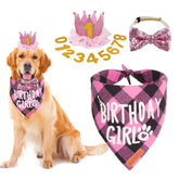 ADOGGYGO sombrero rosa para perro, ideal para fotos festivas