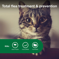 Protección total contra pulgas en 12 horas con Advantage II Gato Pequeño.