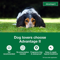 Advantage II para perros medianos: elimina huevos de pulga para prevenir infestaciones.