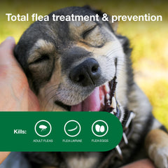 Advantage II para perros medianos: elimina larvas de pulga para interrumpir el ciclo.