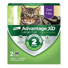 Advantage XD en caja y tubo, listo para usar en casa