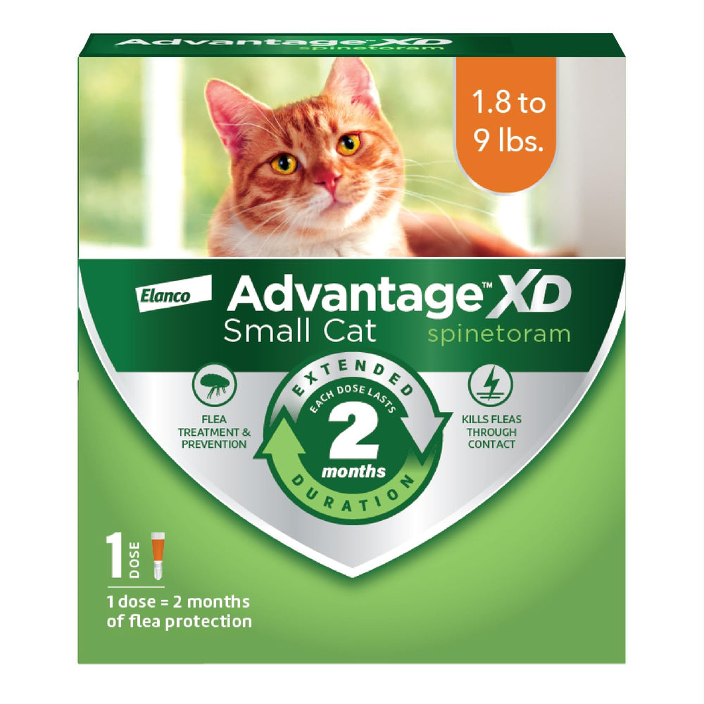 Advantage XD para gato pequeño: aplicación en nuca y protección contra pulgas