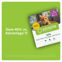 Advecta Plus: aplicación cutánea-gatos, tratamiento rápido y cómodo para el felino.
