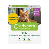 Advecta Plus: empaque para gatos, fácil de identificar y usar para el cuidado del felino.
