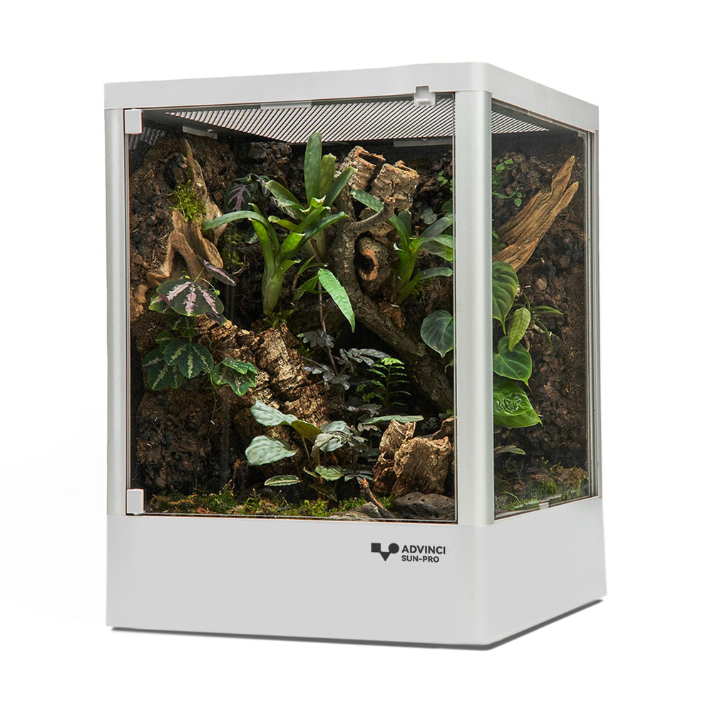 ADVINCI terrario reptil 12x12x16, vista frontal clara para observar movimientos