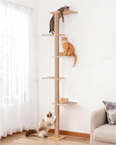 Aechonow cama superior amplia para gatos grandes, descanso cómodo