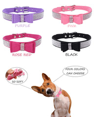 Aecllcea collar ajustable para perro, cómodo y seguro durante paseos.